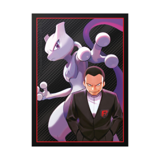 Pokémon TCG: Destined Rivals - Elite Trainer Box [ETB] - wersja angielska